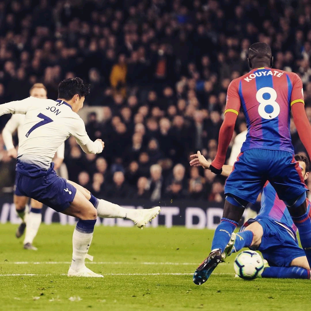 领域和地区 领域和地区